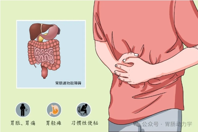 不用出门轻轻松松治胃病——YM-WJ胃动力治疗仪(图2) 微信截图_20240517175846.png